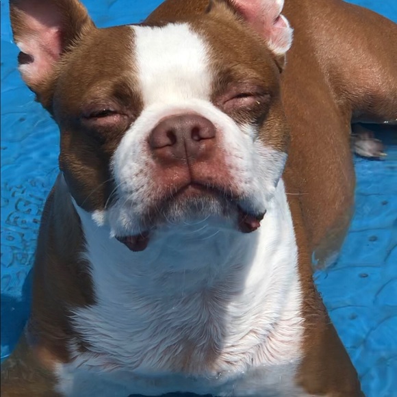 Meet your Posher, Stephanie - Picture 2 of 12